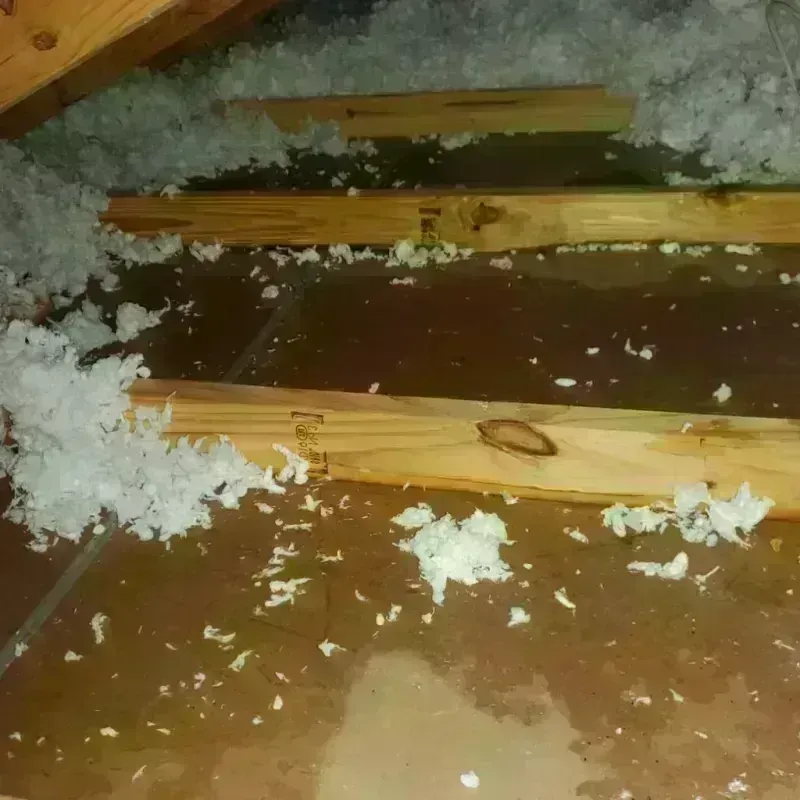 Attic Water Damage in Custer County, SD